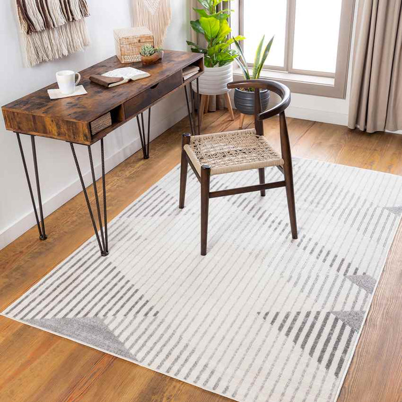 Pesaken Modern Light Gray Area Rug