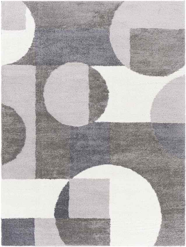 Raath Modern Grey Area Rug