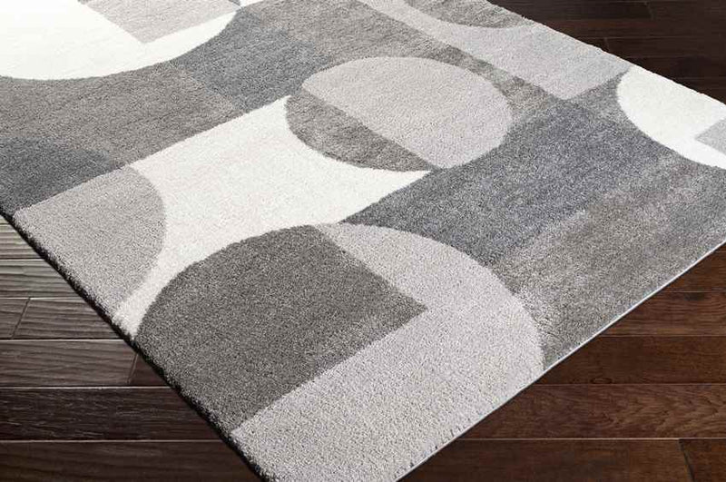 Raath Modern Grey Area Rug