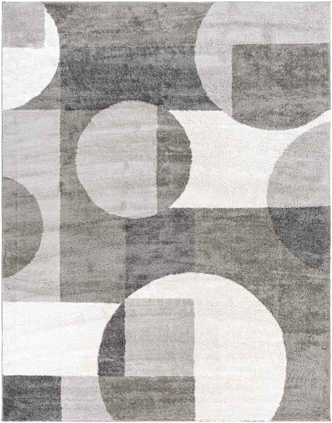 Raath Modern Grey Area Rug