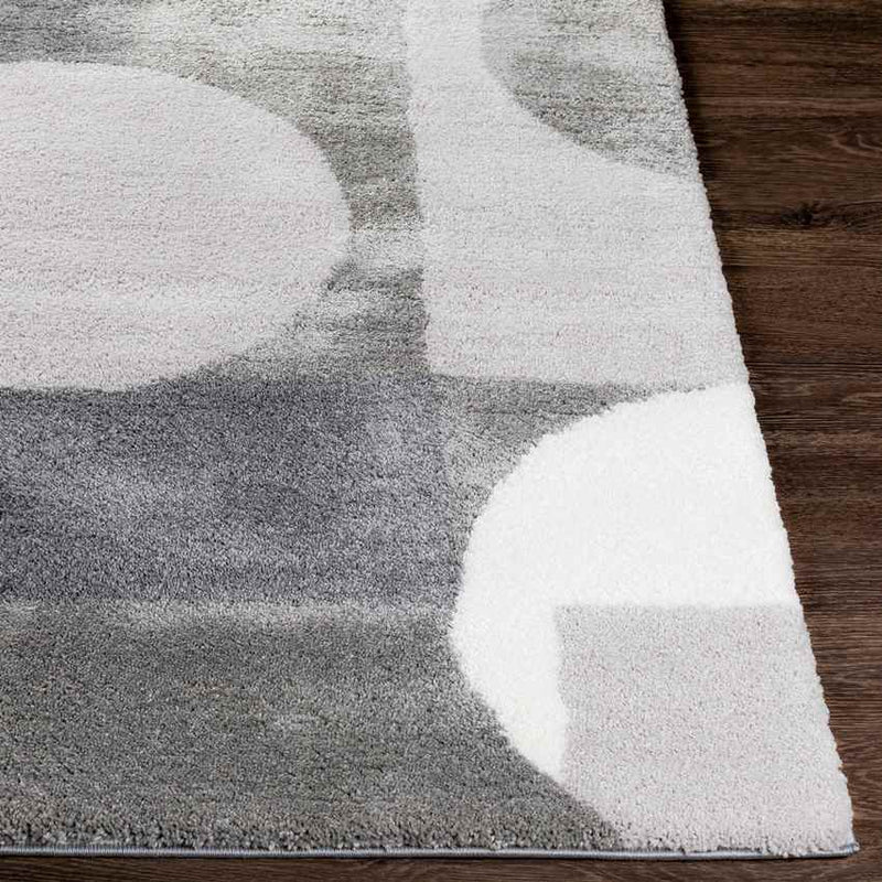 Raath Modern Grey Area Rug