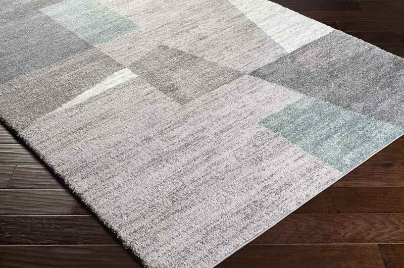 Ransdaal Modern Grey Area Rug