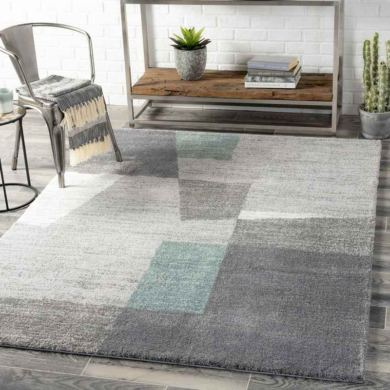 Ransdaal Modern Grey Area Rug