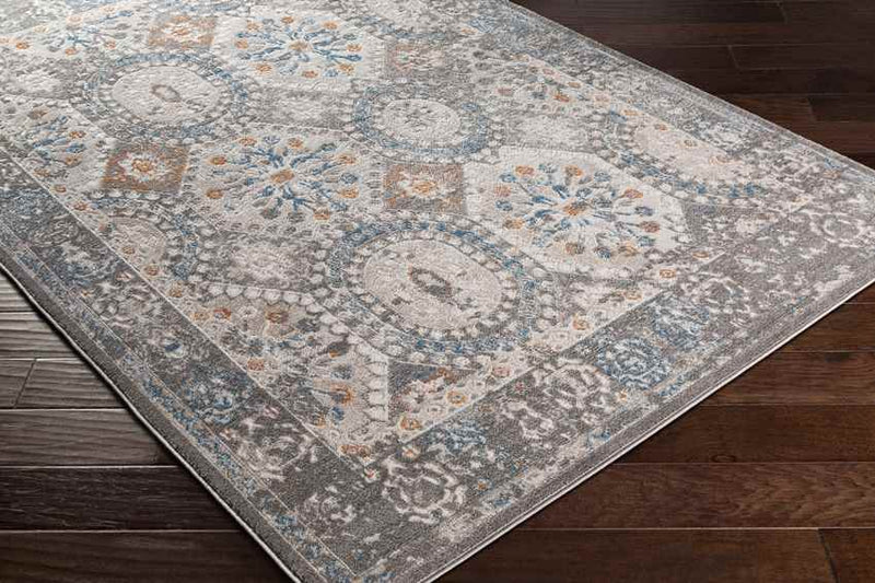 Scheide Traditional Grey Area Rug