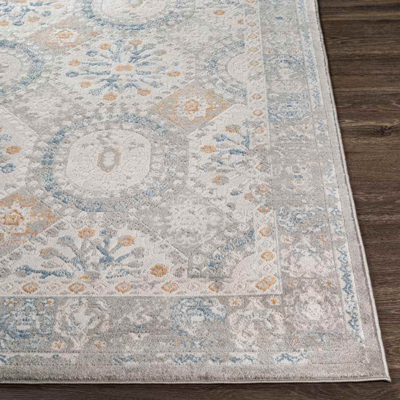 Scheide Traditional Grey Area Rug