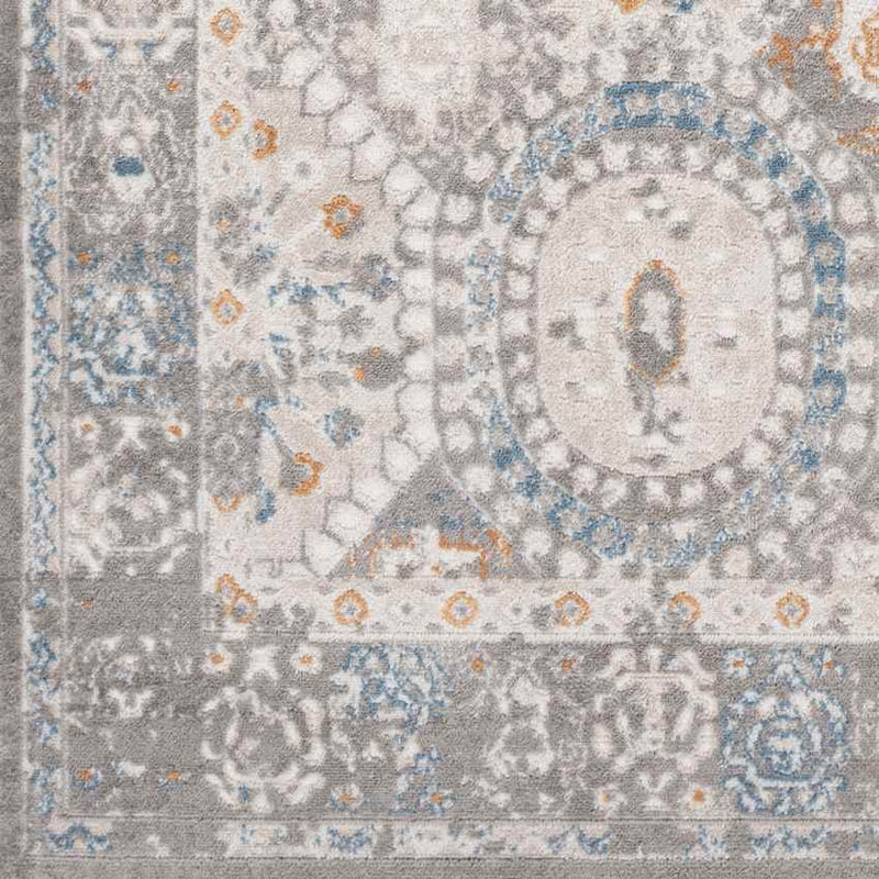 Scheide Traditional Grey Area Rug