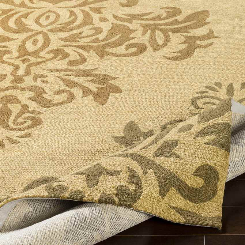 Schilberg Traditional Khaki/Camel Area Rug