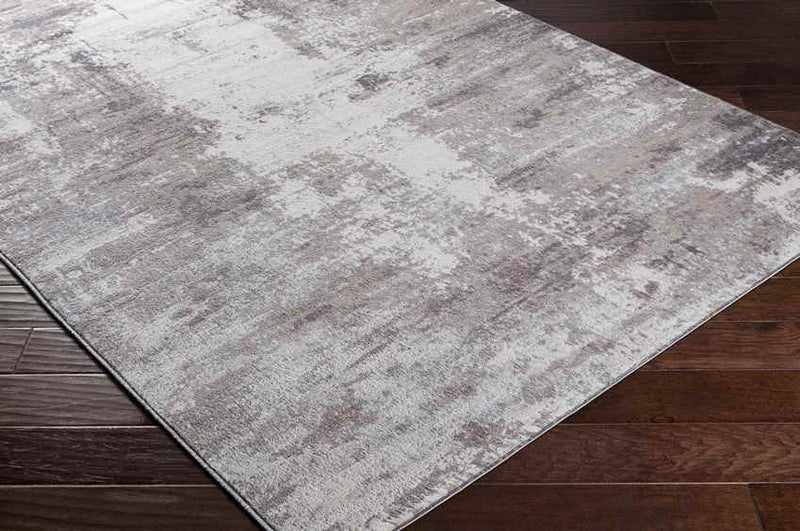 Vaals Modern Medium Gray Area Rug