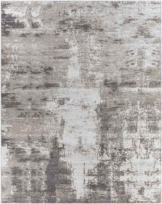 Vaals Modern Medium Gray Area Rug