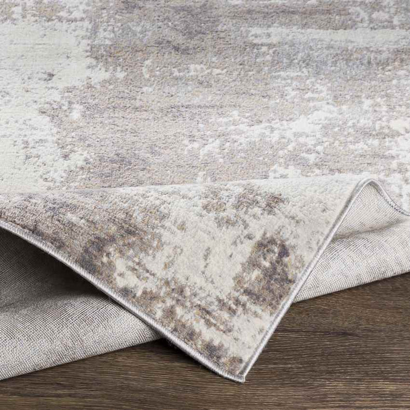 Vaals Modern Medium Gray Area Rug