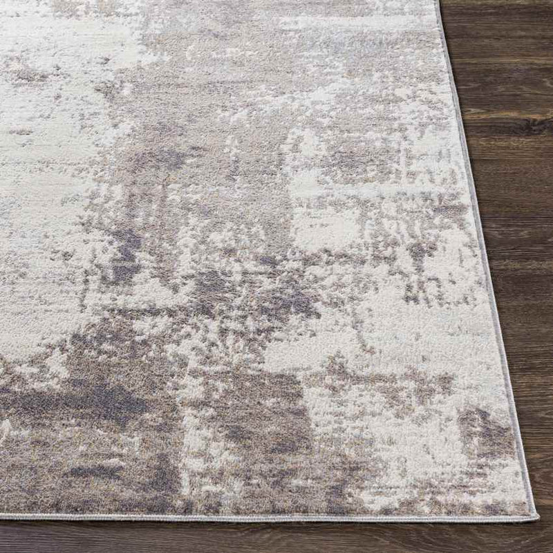 Vaals Modern Medium Gray Area Rug