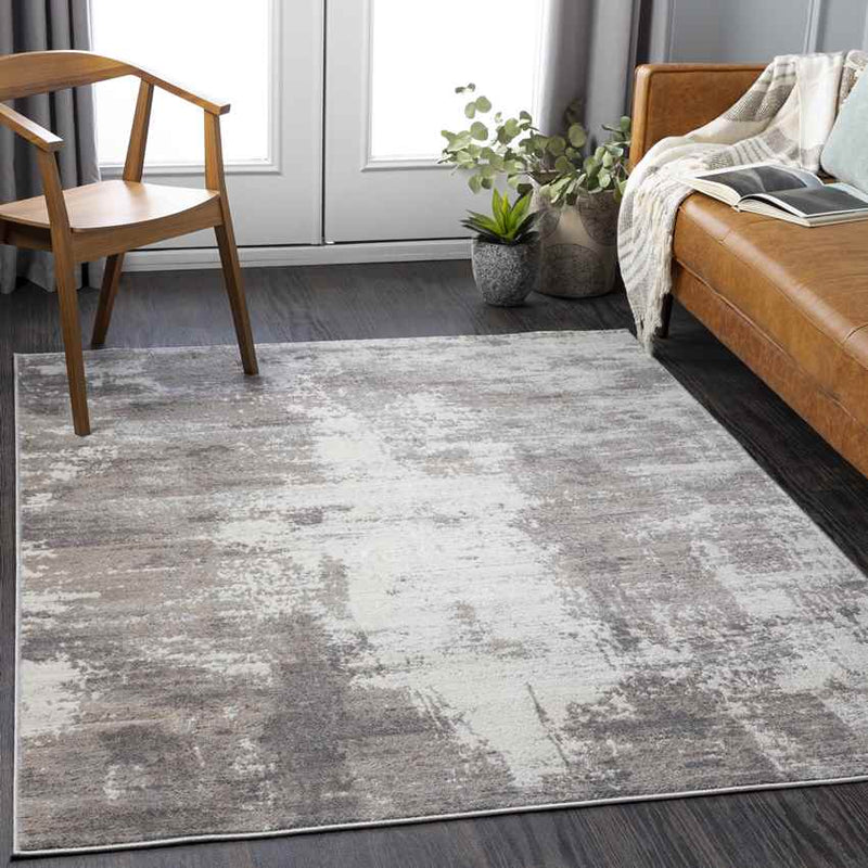 Vaals Modern Medium Gray Area Rug