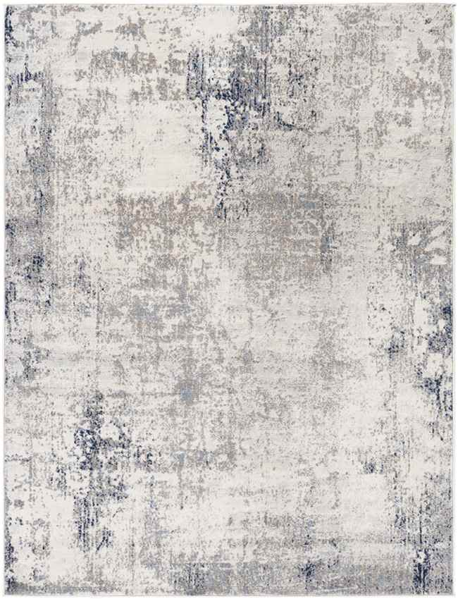 Vaesrade Modern Grey Area Rug