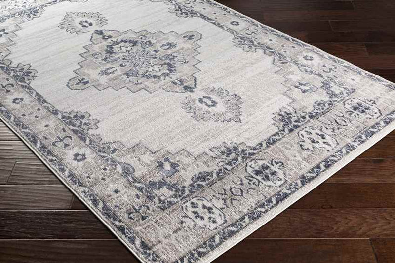 Bedum Traditional Light Gray Area Rug