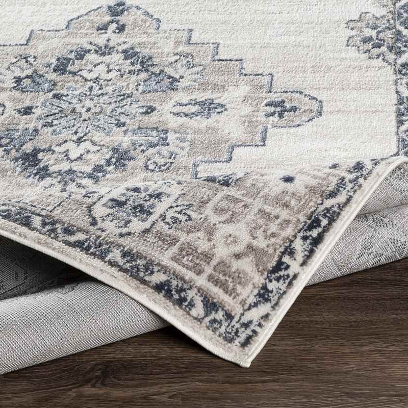 Bedum Traditional Light Gray Area Rug