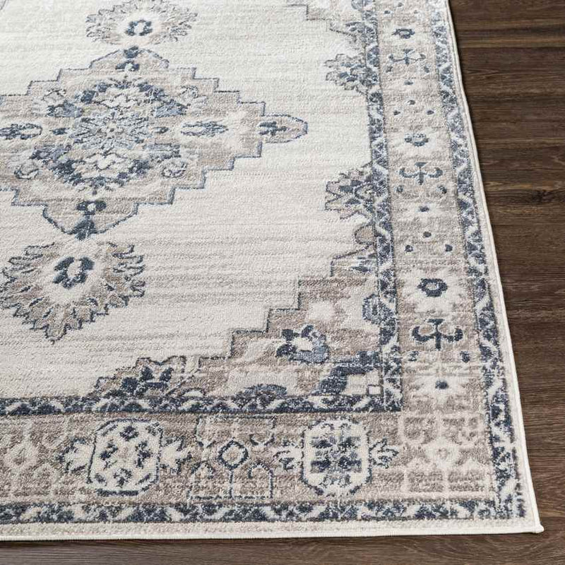 Bedum Traditional Light Gray Area Rug