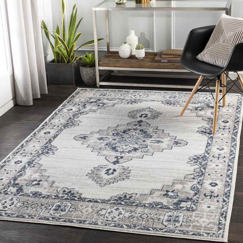 Bedum Traditional Light Gray Area Rug