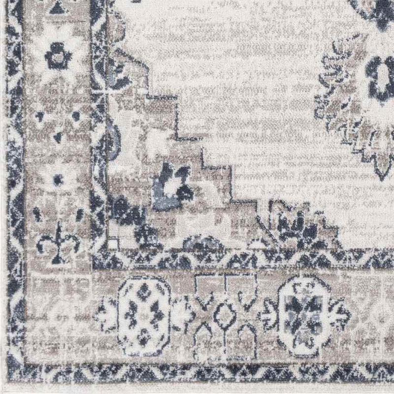 Bedum Traditional Light Gray Area Rug