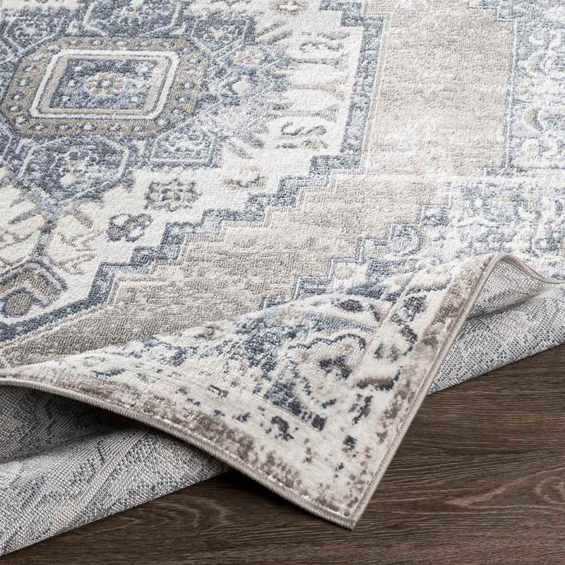 Beerta Traditional Taupe Area Rug