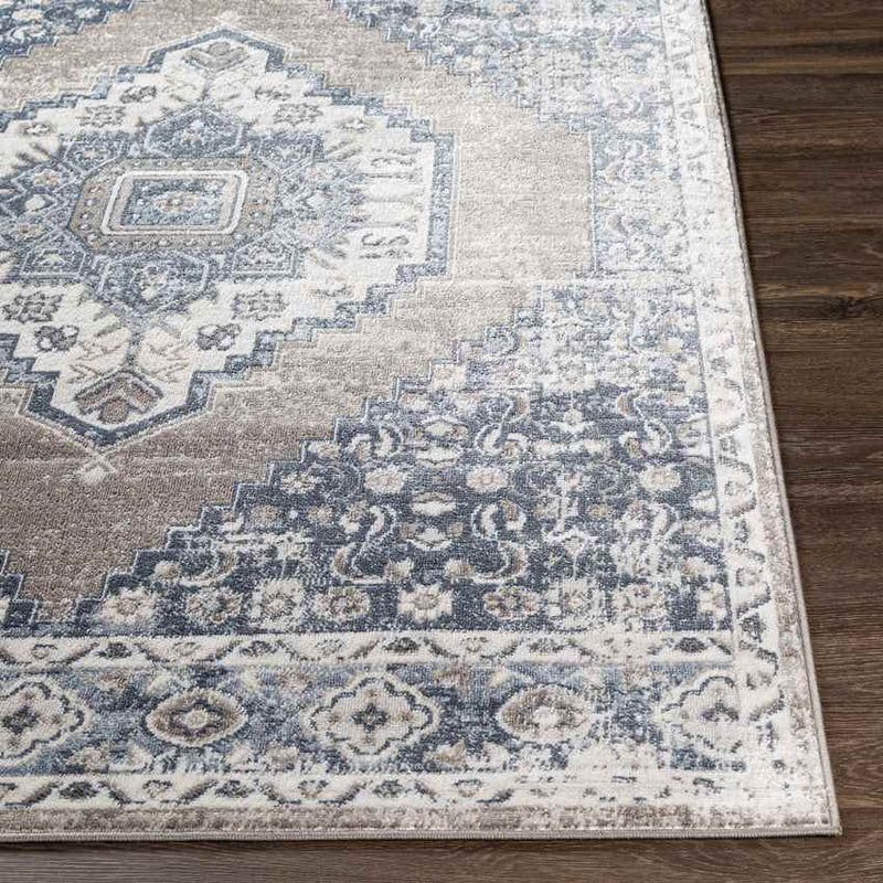 Beerta Traditional Taupe Area Rug