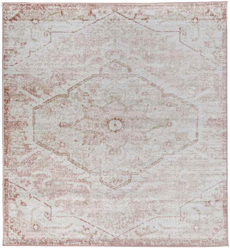 Baflo Traditional Blush Area Rug