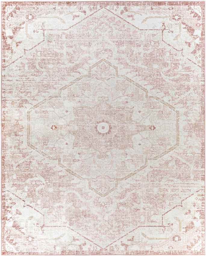 Baflo Traditional Blush Area Rug