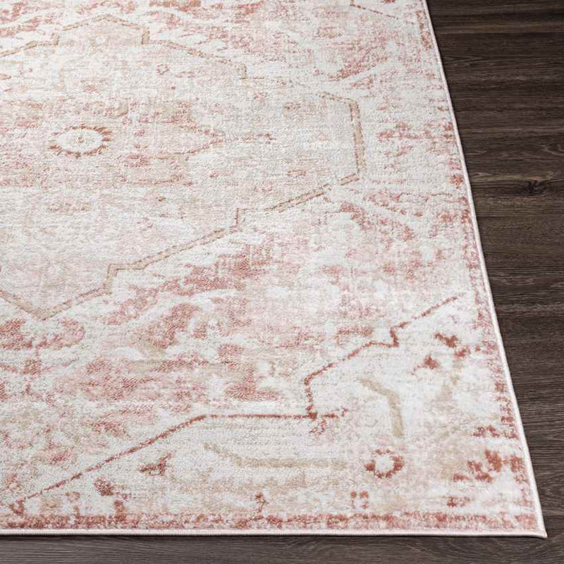 Baflo Traditional Blush Area Rug