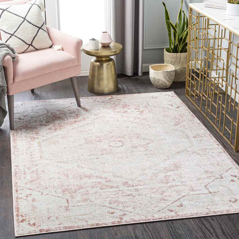 Baflo Traditional Blush Area Rug