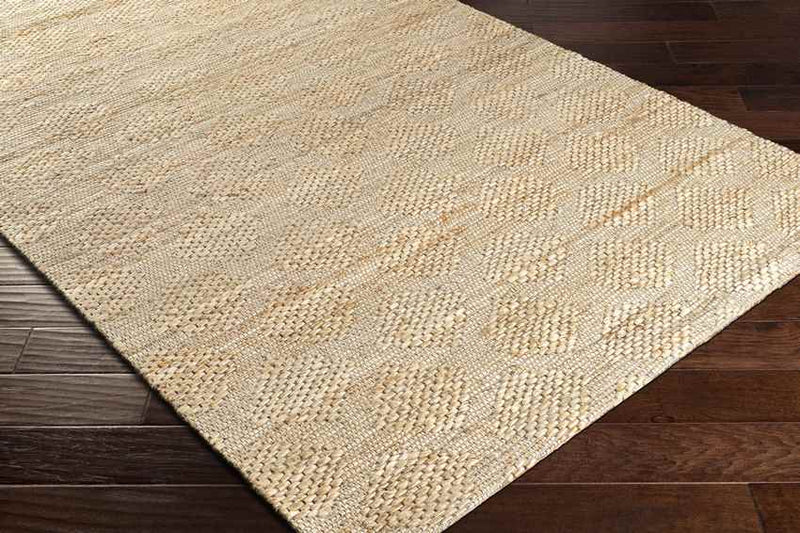 Ezinge Modern Beige/Brown Area Rug