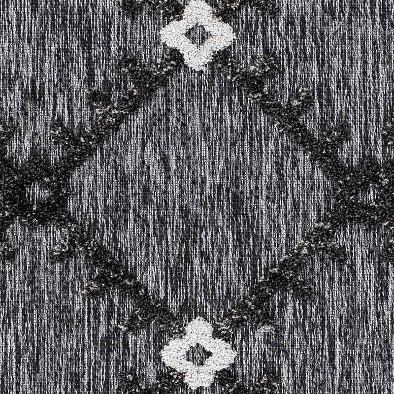 Fiemel Global Black Area Rug