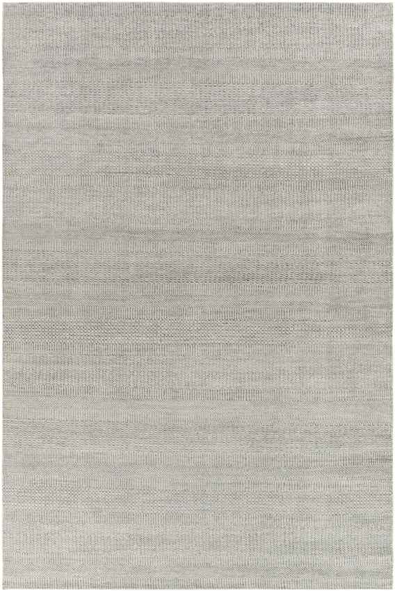 Hefswal Modern Medium Gray Area Rug