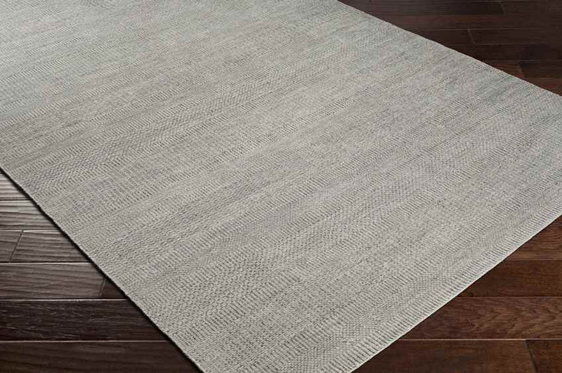 Hefswal Modern Medium Gray Area Rug