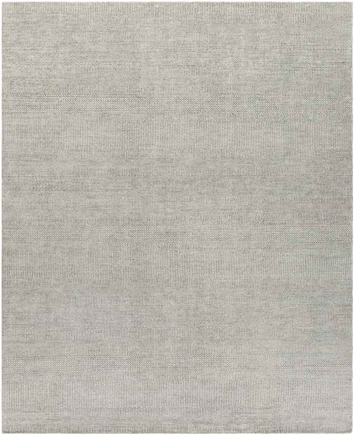 Hefswal Modern Medium Gray Area Rug