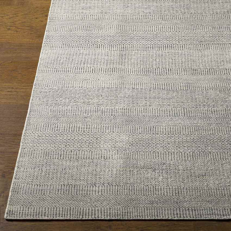 Hefswal Modern Medium Gray Area Rug