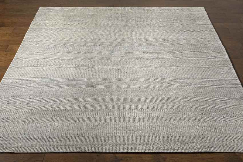 Hefswal Modern Medium Gray Area Rug