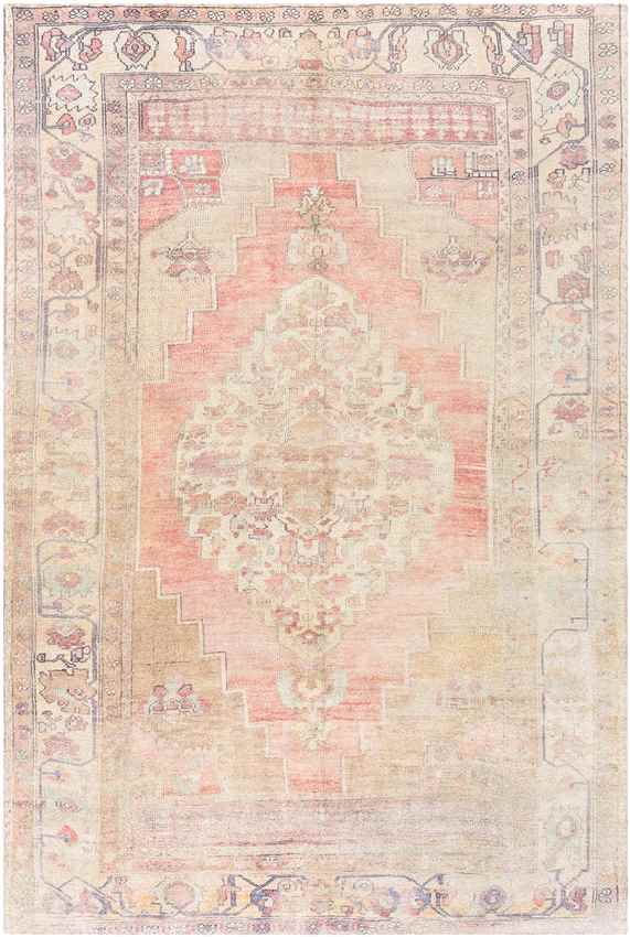 Holwinde Traditional Cream Area Rug