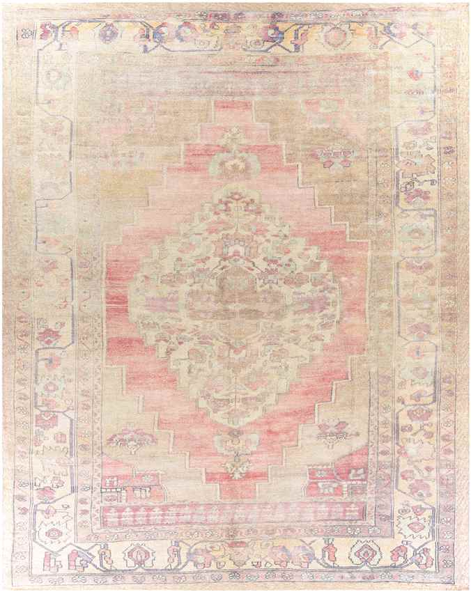 Holwinde Traditional Cream Area Rug