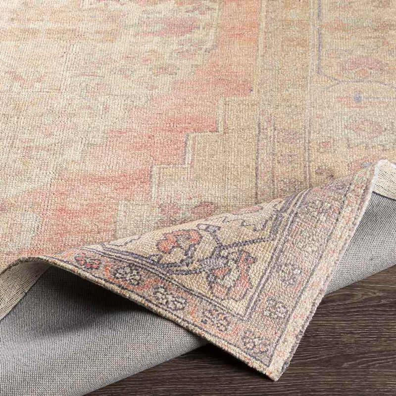 Holwinde Traditional Cream Area Rug