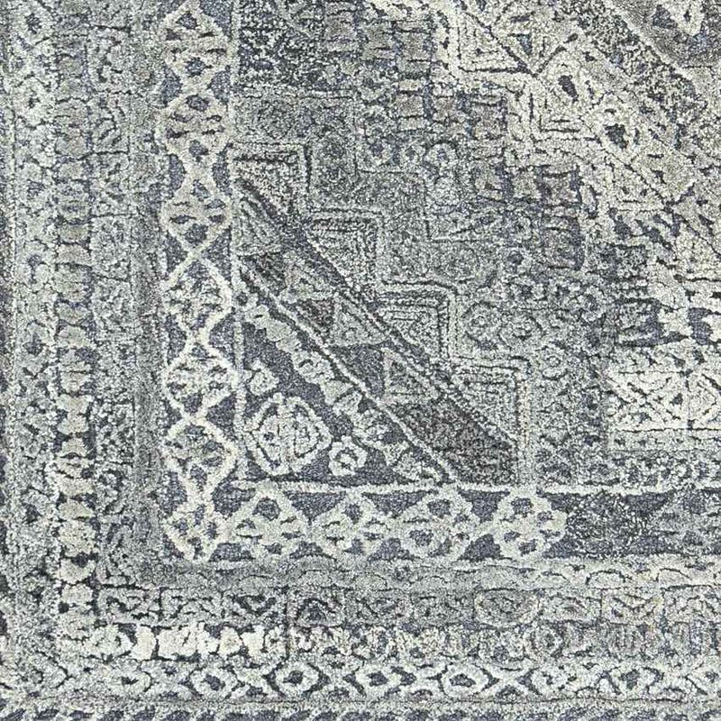 Lutjegast Traditional Silver Gray Area Rug