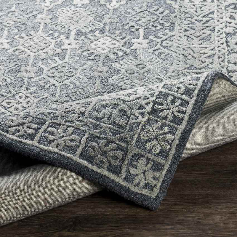 Lutjerijp Traditional Silver Gray Area Rug