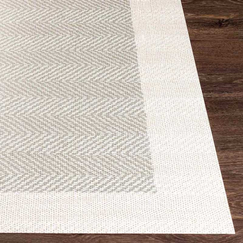 Midwolda Traditional Grey Area Rug