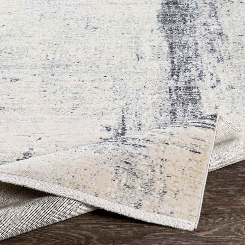 Polen Modern Medium Gray Area Rug