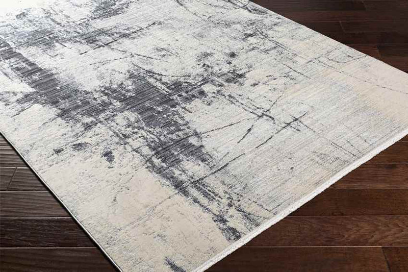 Rijsdam Modern Medium Gray Area Rug