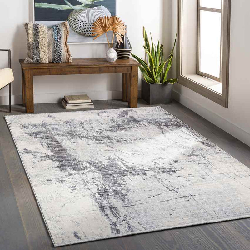 Rijsdam Modern Medium Gray Area Rug