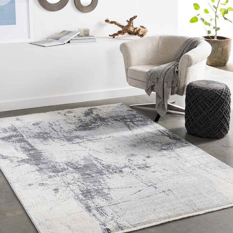 Rijsdam Modern Medium Gray Area Rug