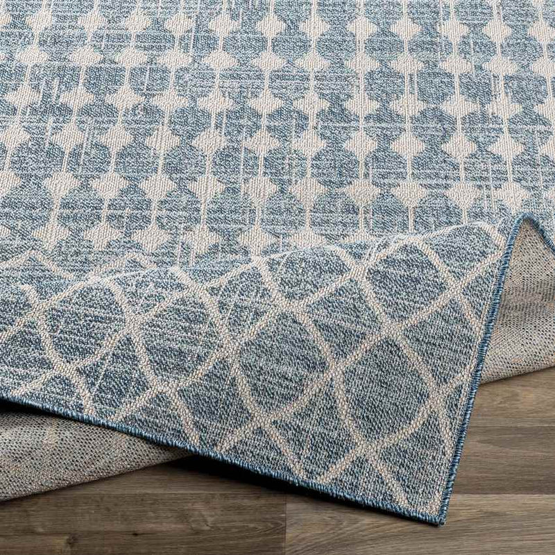 Ruiten Global Dark Blue Area Rug