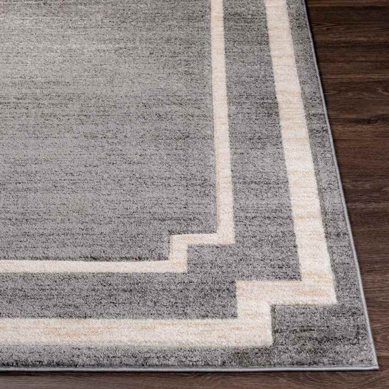 Tjuchem Modern Brown Area Rug