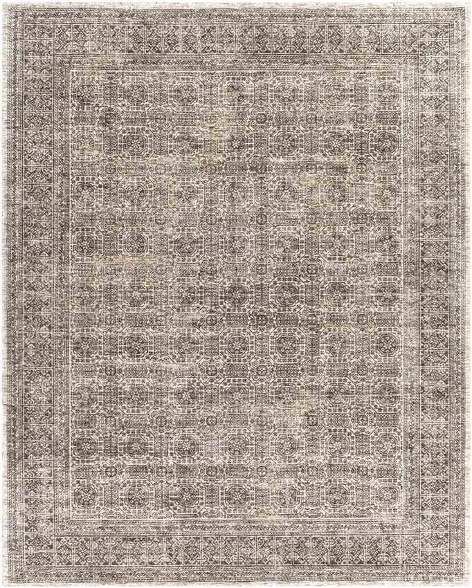 Woltersum Traditional Brown Area Rug