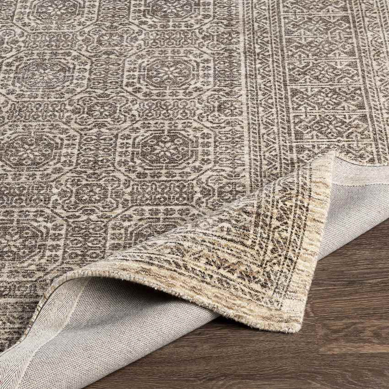 Woltersum Traditional Brown Area Rug