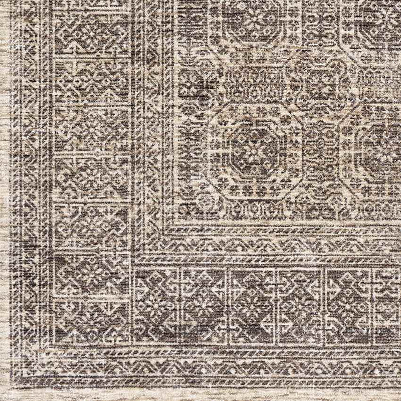 Woltersum Traditional Brown Area Rug